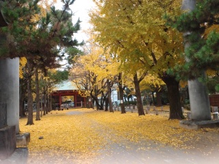 �t���ϗ����܂���`