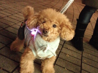 �R�R�A�����