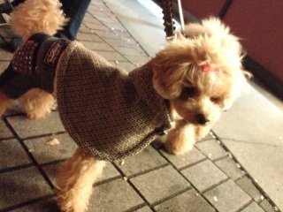 �݂�����̃}���g