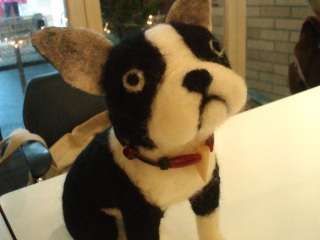 �P�����Ă��Ƃɂ��Ƃ���