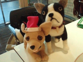 ���삳��Ƃ̃R