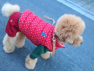 �����̃����E�e�B����