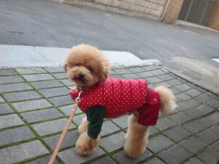 ��H�Ȃ��ɁH�̊�