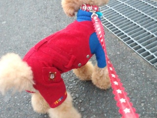 �����̃����E�e�B����