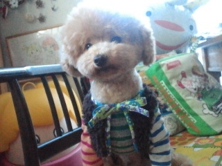 �����E�e�B���X�^�C��