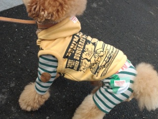 �����̃����E�e�B����