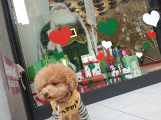 �҂����킹�M���M���Ȃ̂Ɂc