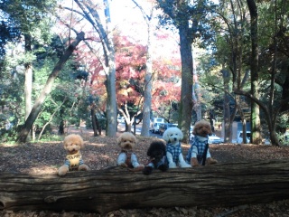 ��D���ȏꏊ