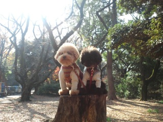 ���낤������