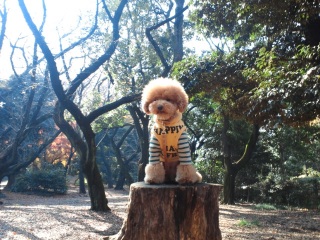 ���C�ɓ���̏ꏊ