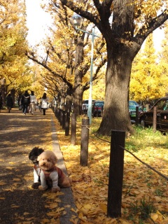 �C�G���[���Ղ�