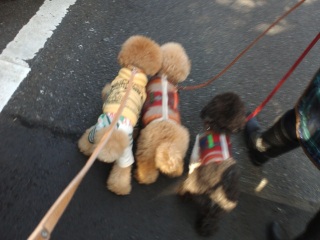 ���������R