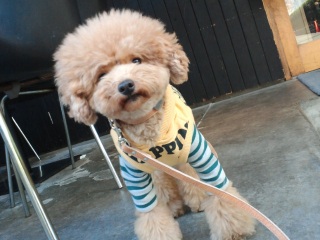 �X�����O�ŐQ�ăX�b�L���H