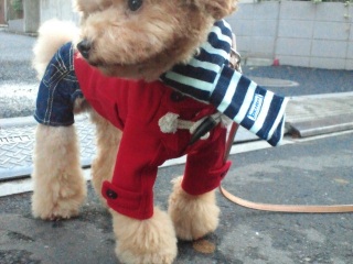 �����̃����E�e�B����