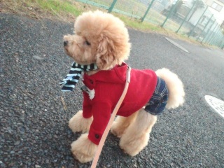 ���c���c���e��