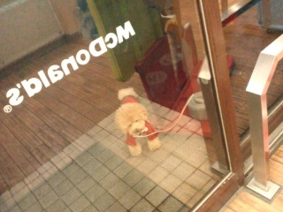 �����E�e�B���[�������Ȃ��炵��