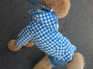 �����̃����E�e�B����