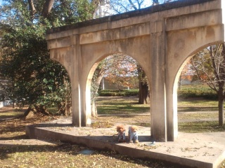 ���~�I�ƃW�����G�b�g�H