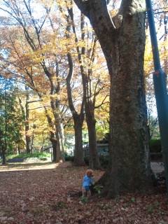 ����H�d��������H(��)