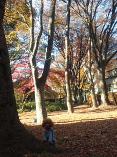 ���ʂ���