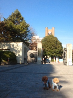 �����w�o���邩�ȁH