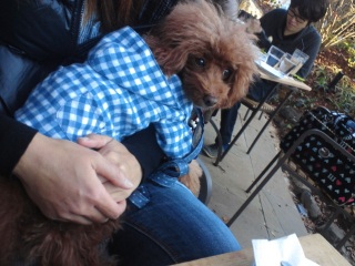 �}�}�������ȃE�F���q