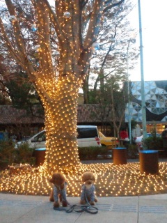 T�[SITE�̃C���~�l�[�V����