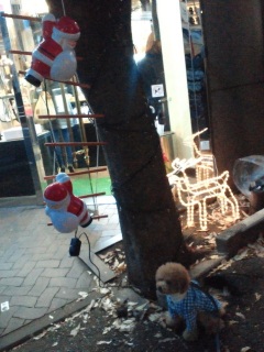 �㊯�R�̃p��������