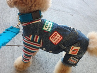 �����̃����E�e�B����