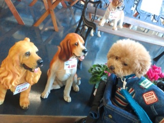 �L���`�`��