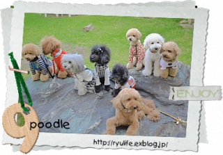 IloveRyu12/15�X�V�I