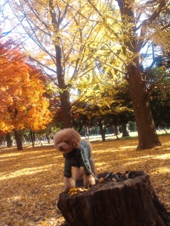 �x���Ȃ����Ɂc