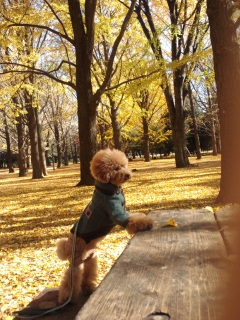 ���p������낵����`