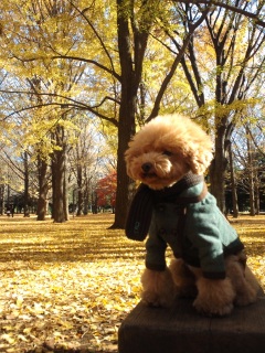 ��X�،����߂��Ⴂ���̂��