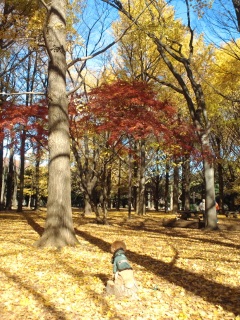 ��l����U������͂��Ă���Ȃ������B