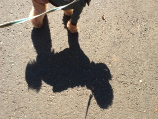 ���V�C�ǂ��Ƃ������Ȃ邱�ƁB