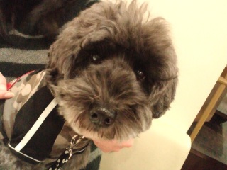 �n�b�����