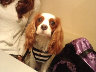 Nice to meet you!���������