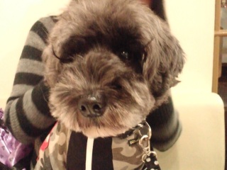 �܂��N������