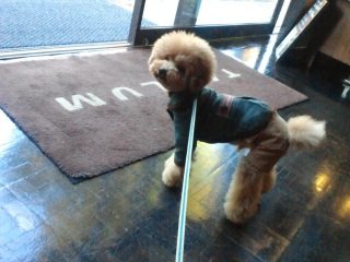 asknowasdewan�ɂ������o����ɉ������I