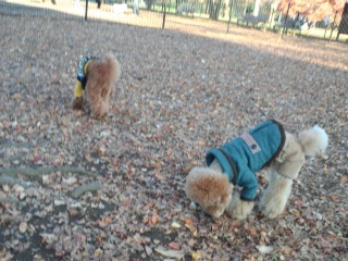 ��X�،����h�b�N����