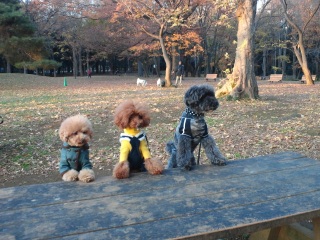 �^�b�`�Ƀg���C��