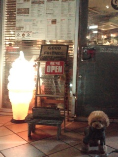 �����������ȁ[