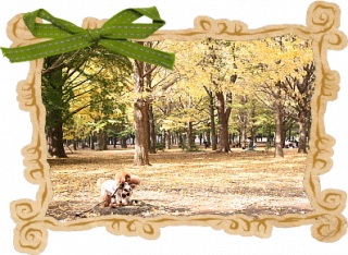 IloveRyu12/17�X�V�I