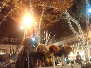 4�����R�Ł�