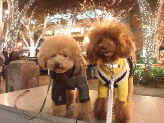 �C���~���ꂢ��!!