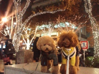 ���h������Ă܂���[