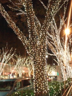 ������enjoy�����R���C�t�o���U�C�I