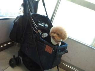 �ꏏ���������˂�