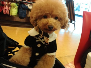 �����E�e�B���҂��ĂĂˁ[